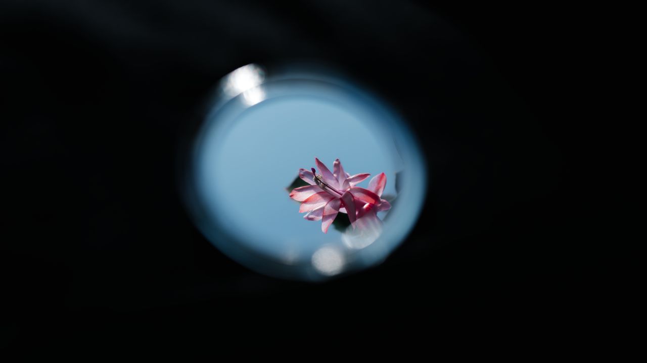 除了雪花~北海道还有数不清的小清新