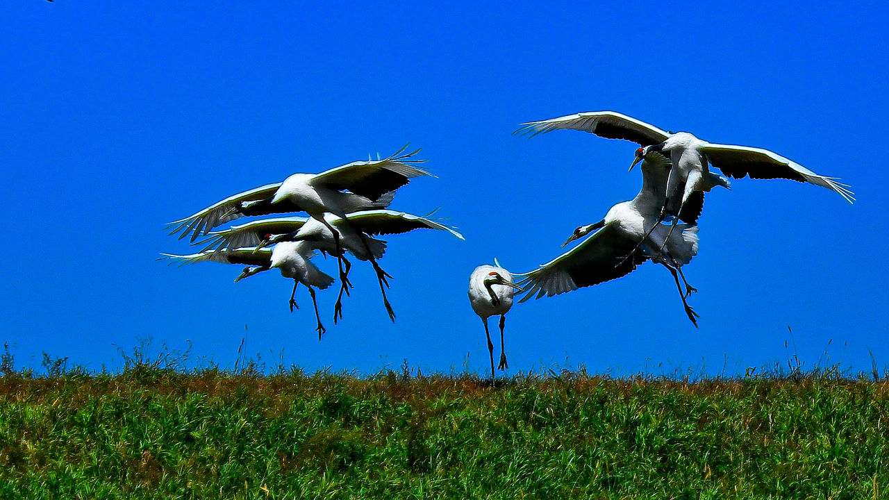 Love Story with Tokyo—与东京的第N次相遇