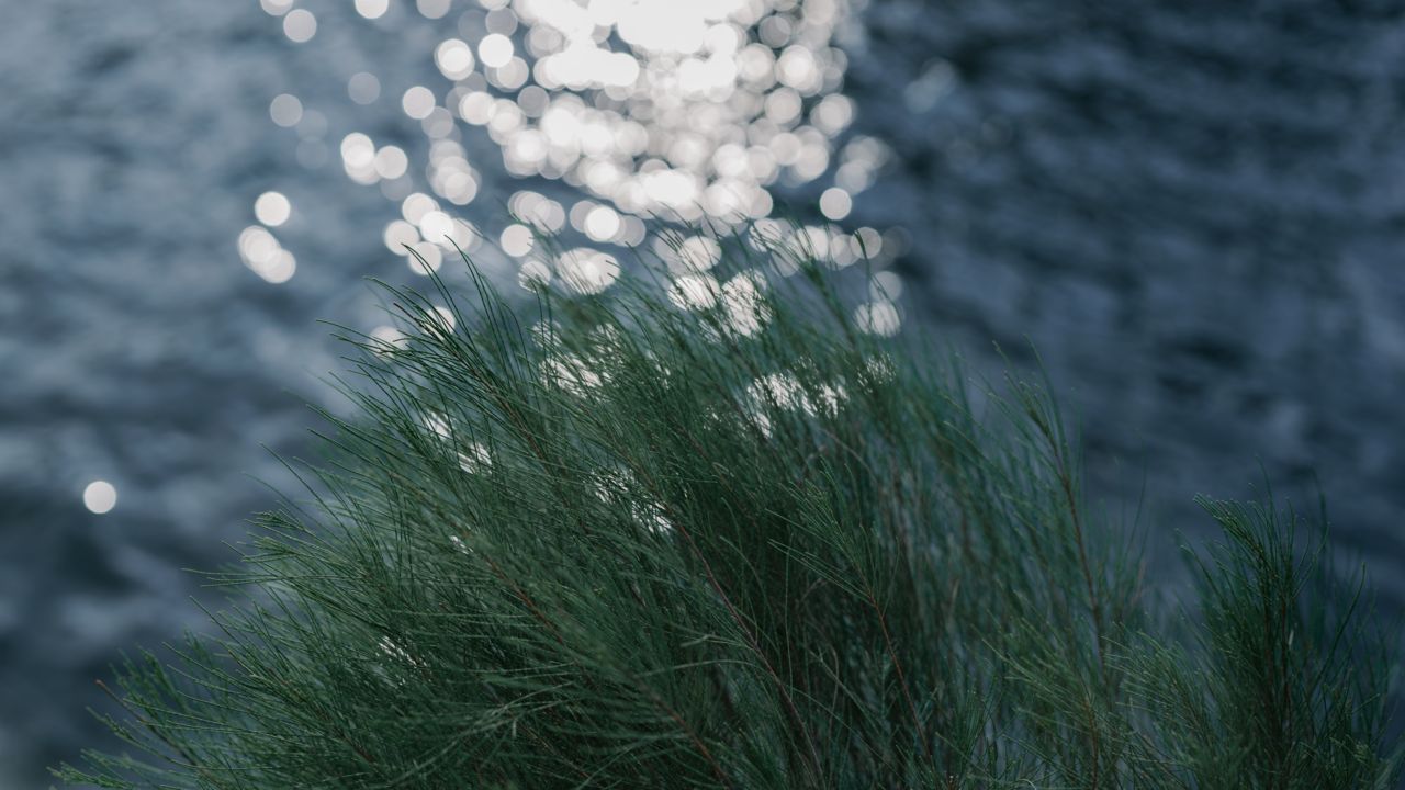 西班牙12日 | 南部的慢生活