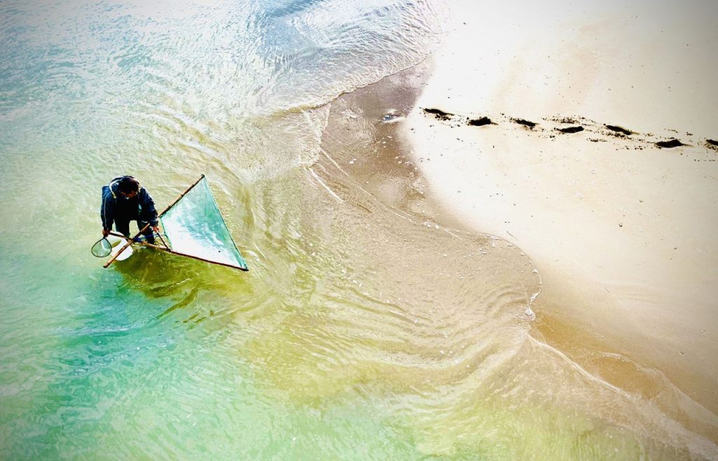 春暖花开，带上妈妈去无锡