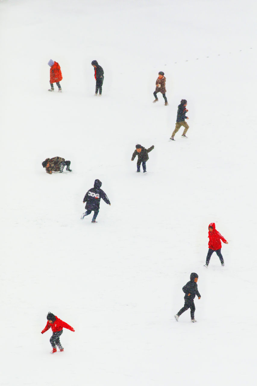初秋絮语：不妨像猪一样在日本吃吃喝喝